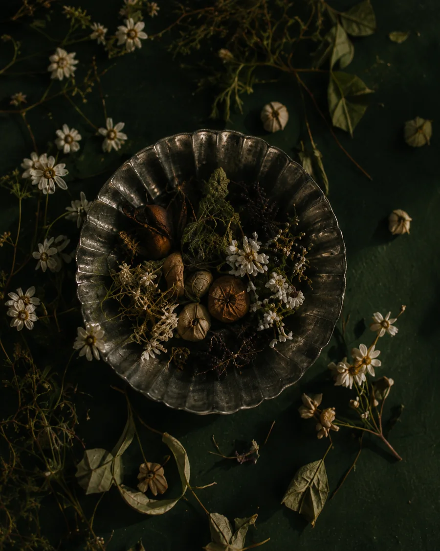 Verdalia botanical still life