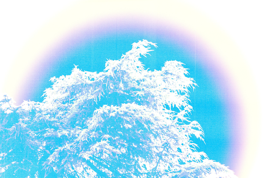FOTOAURA project preview
