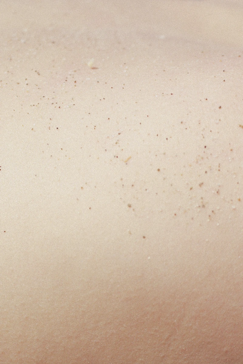 Summer day photograph